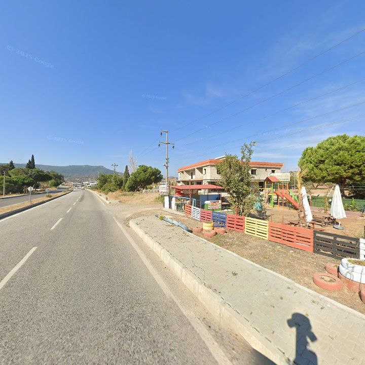 Fotoğraf 10