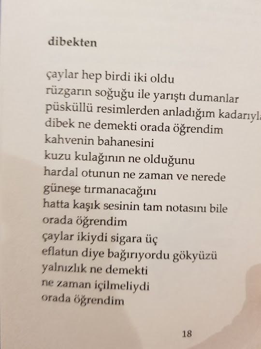 Fotoğraf 26