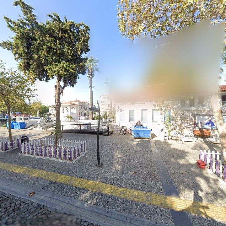 Fotoğraf 10