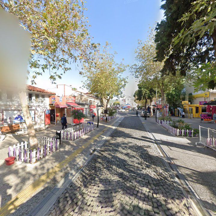 Fotoğraf 11