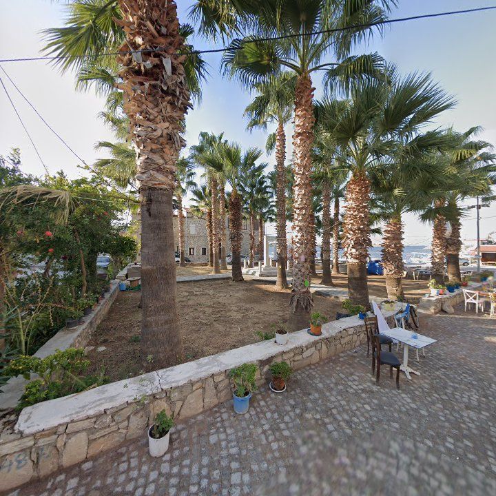 Fotoğraf 8