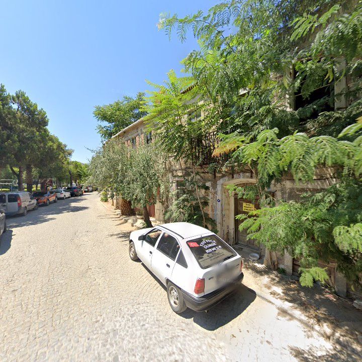 Fotoğraf 11