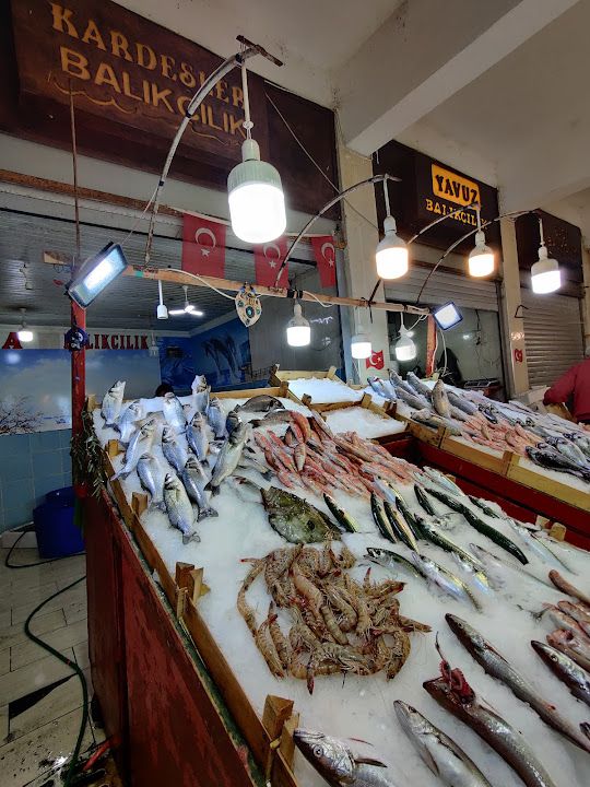 Fotoğraf 5