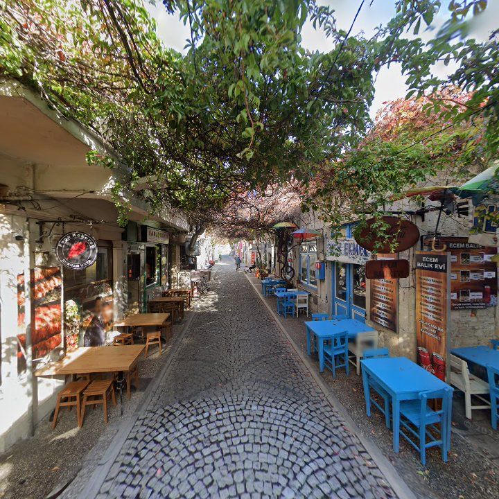 Fotoğraf 13