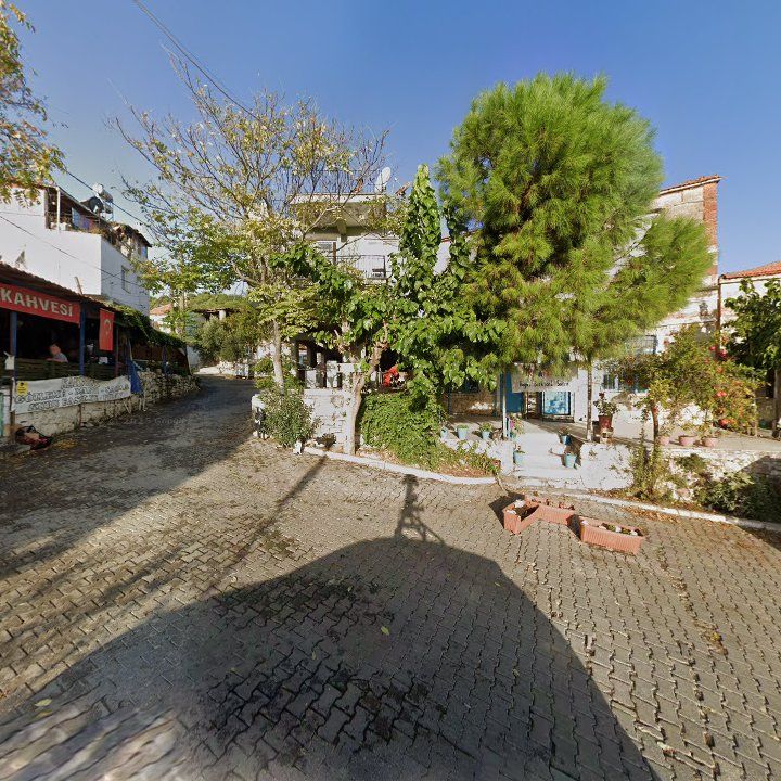 Fotoğraf 10