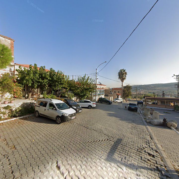 Fotoğraf 11