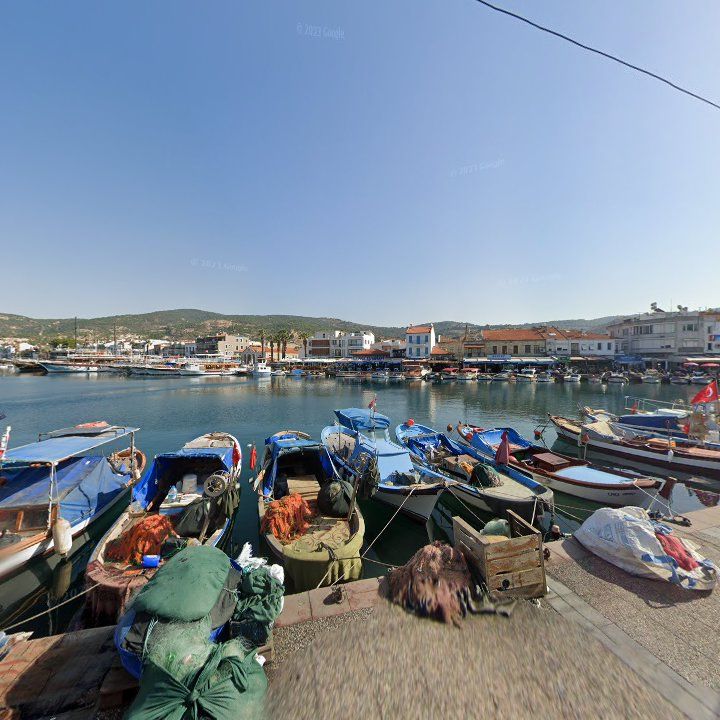 Fotoğraf 7