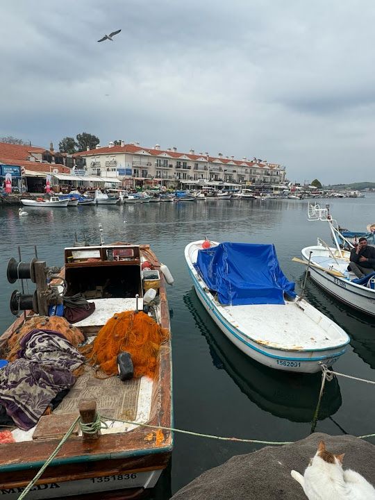 Fotoğraf 3