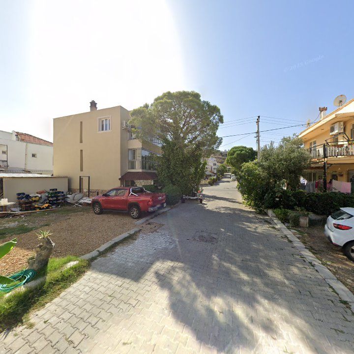 Fotoğraf 8