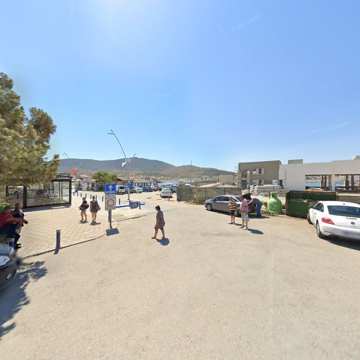 Fotoğraf 7
