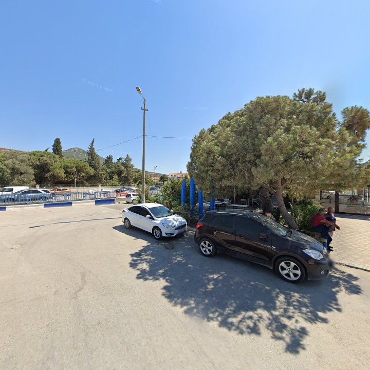 Fotoğraf 10