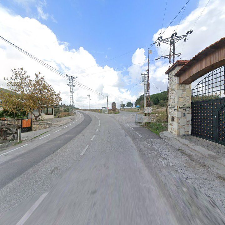 Fotoğraf 9