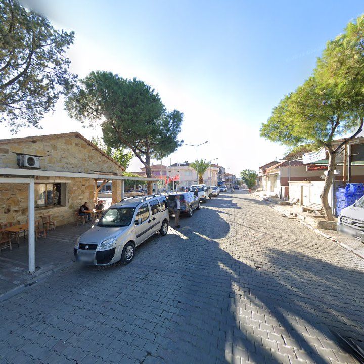 Fotoğraf 6