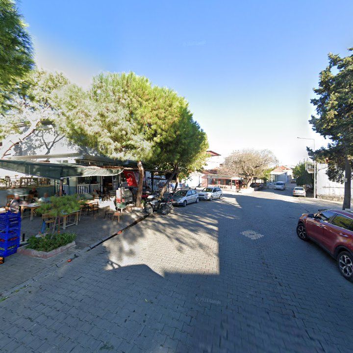 Fotoğraf 8