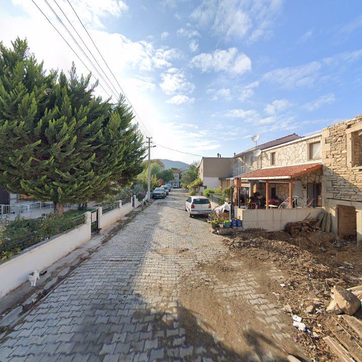 Fotoğraf 8