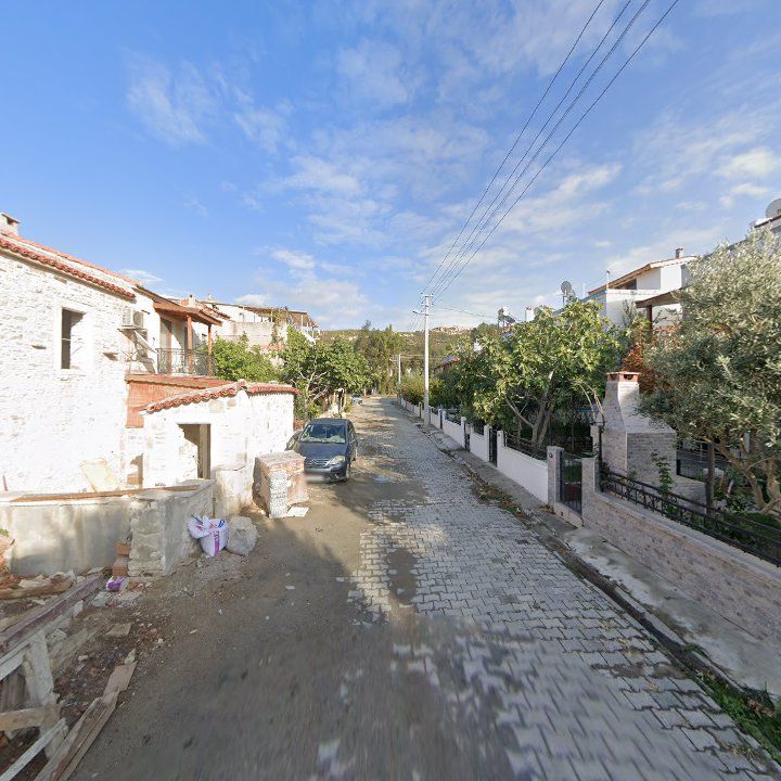Fotoğraf 6