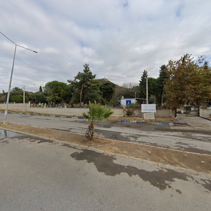 Fotoğraf 8