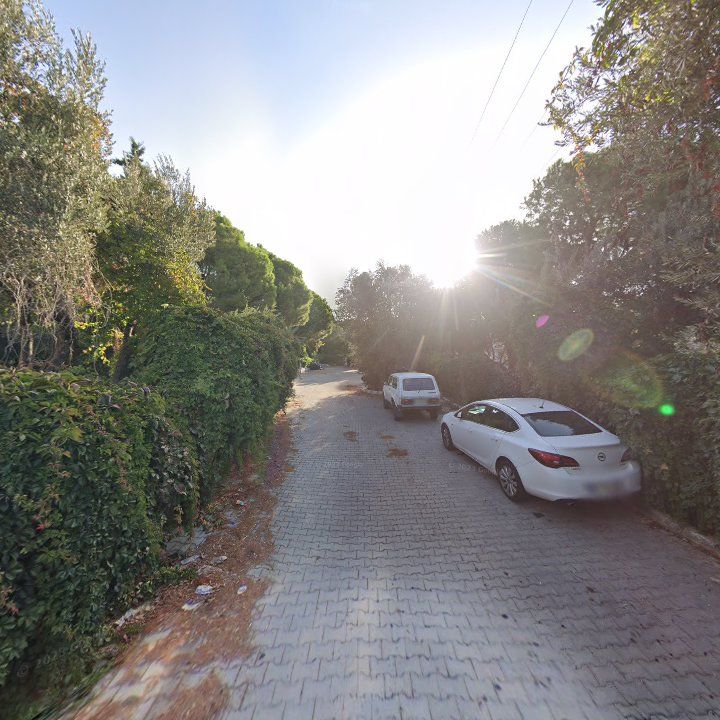 Fotoğraf 7