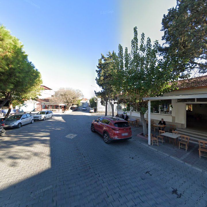 Fotoğraf 6