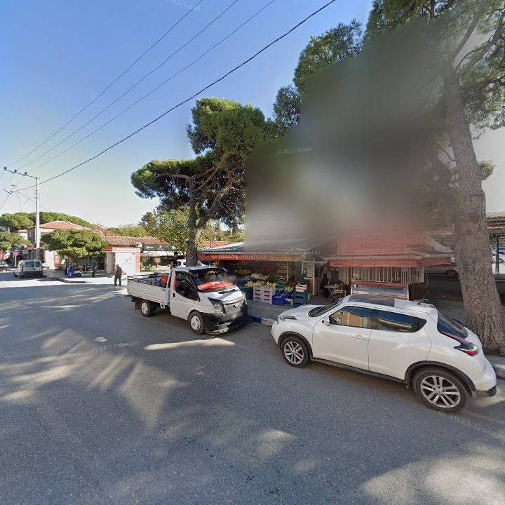 Fotoğraf 10