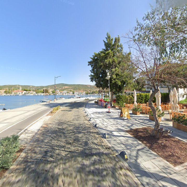 Fotoğraf 11