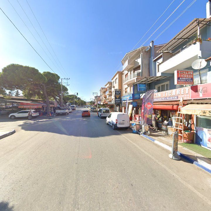 Fotoğraf 7