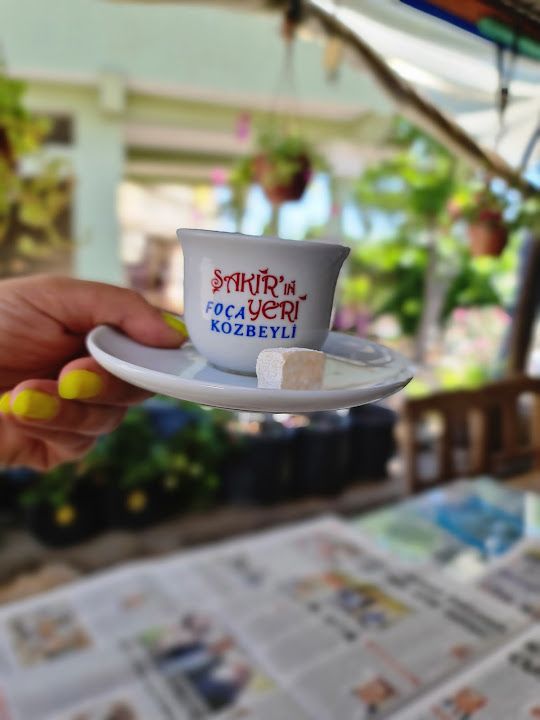 Fotoğraf 42