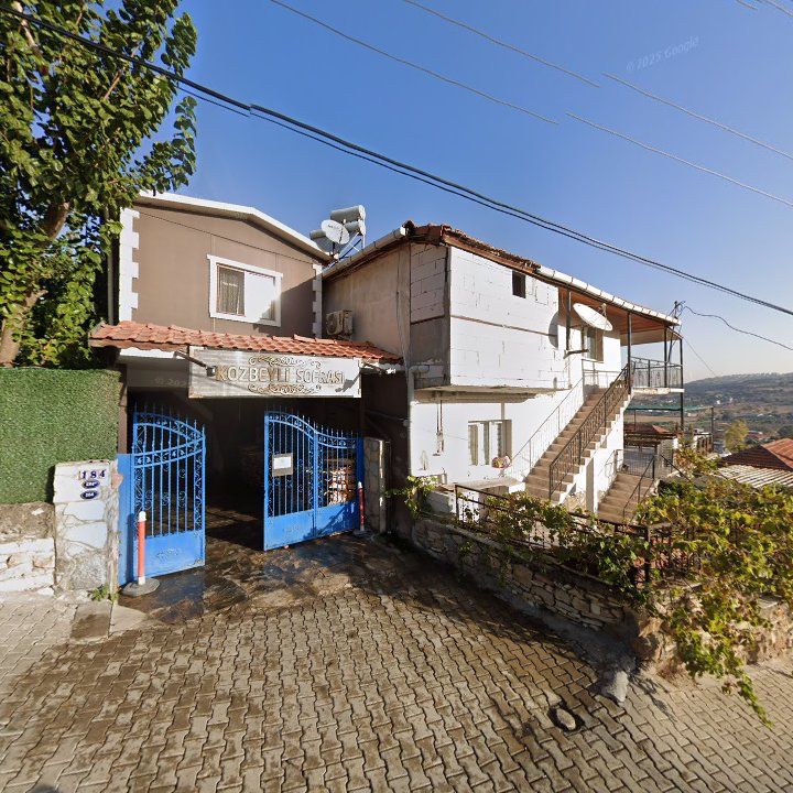 Fotoğraf 12