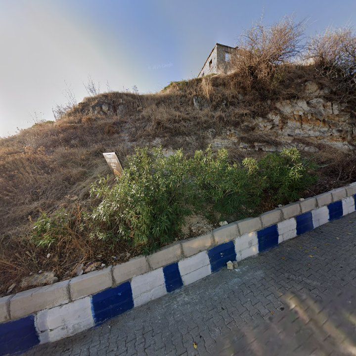 Fotoğraf 14