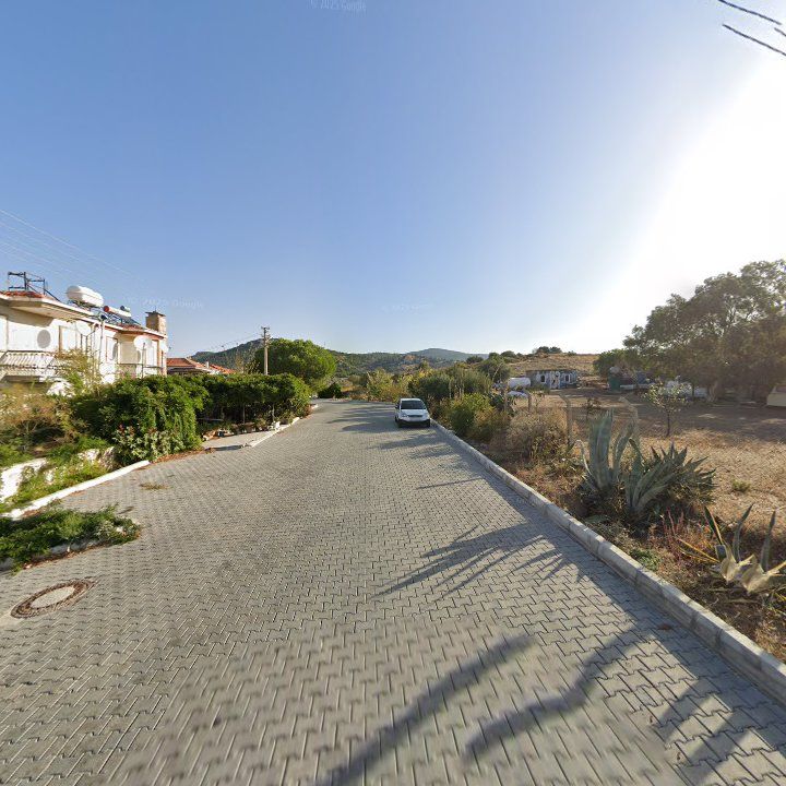 Fotoğraf 6