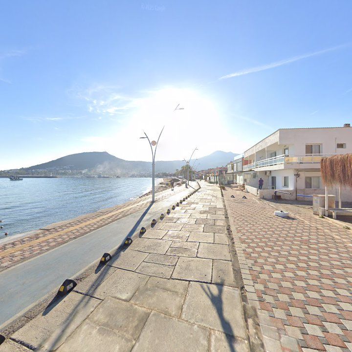 Fotoğraf 10