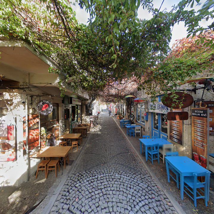Fotoğraf 11