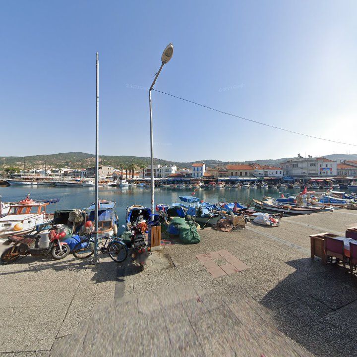 Fotoğraf 12
