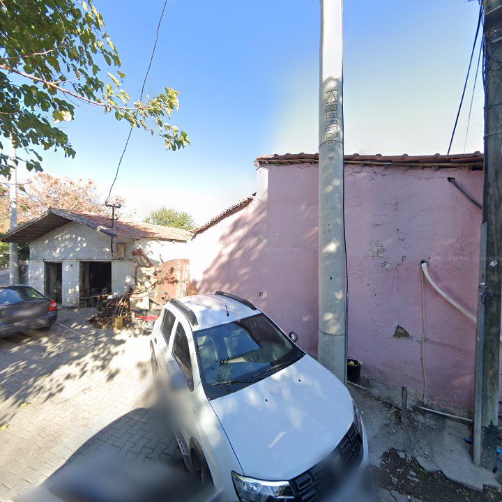 Fotoğraf 10