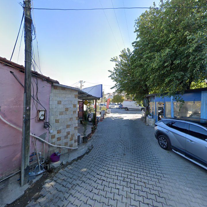 Fotoğraf 11