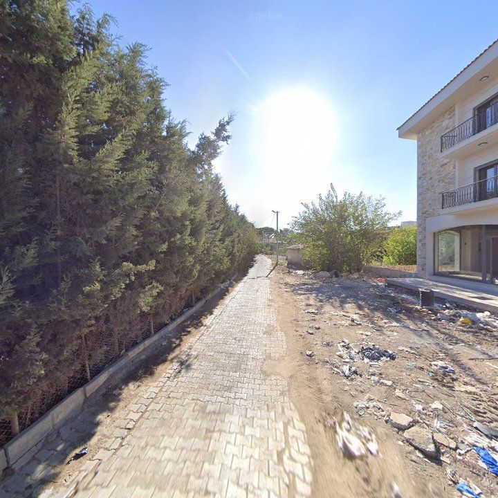 Fotoğraf 7