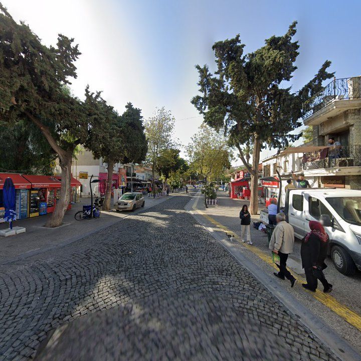 Fotoğraf 8