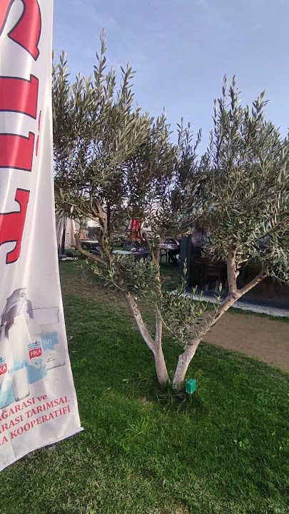 Fotoğraf 22
