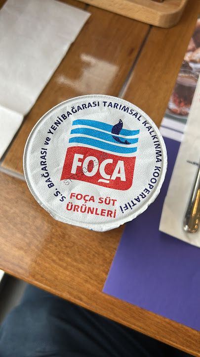 Fotoğraf 17