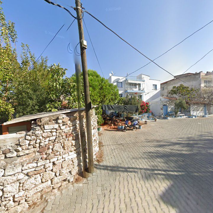 Fotoğraf 7