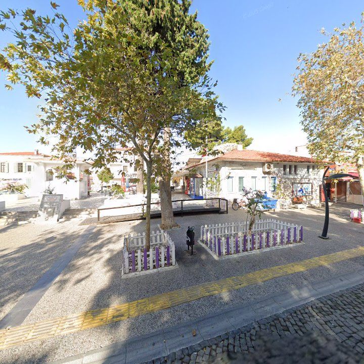Fotoğraf 10