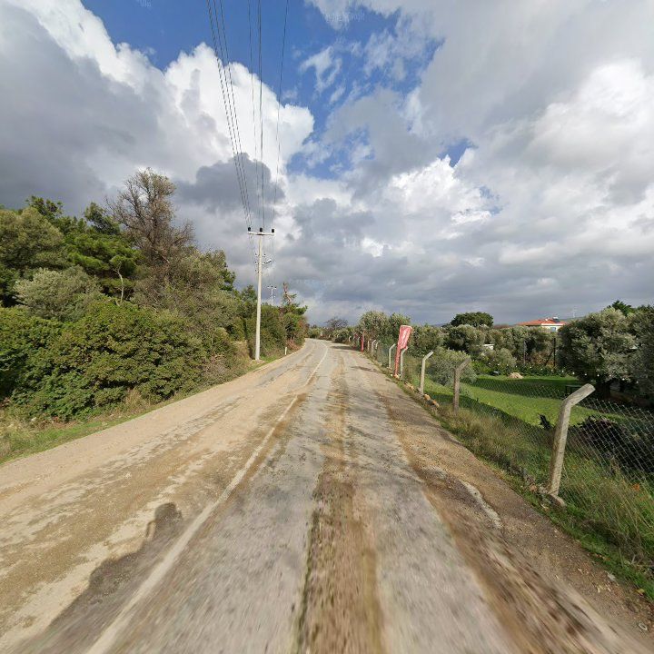 Fotoğraf 11
