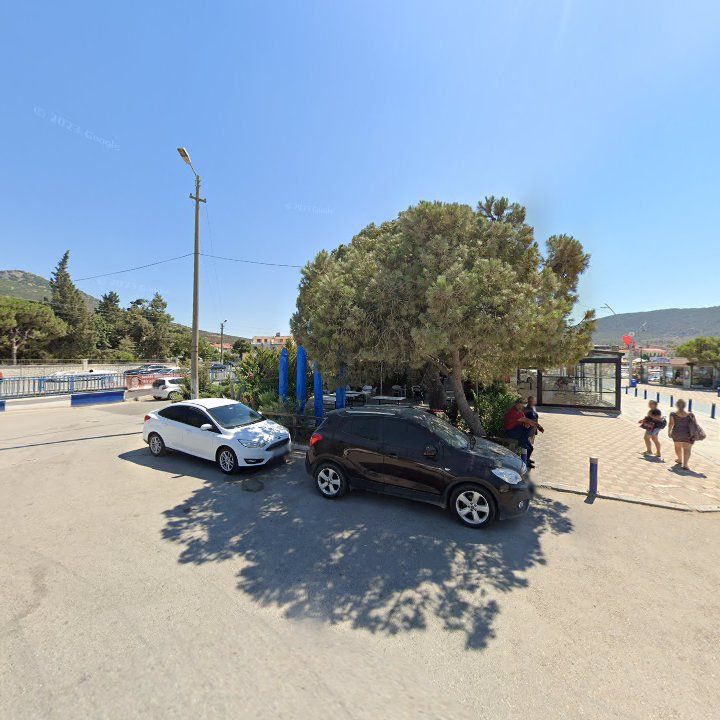 Fotoğraf 9
