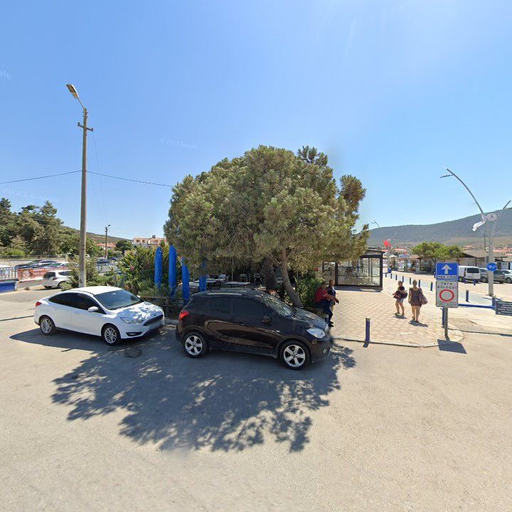 Fotoğraf 9