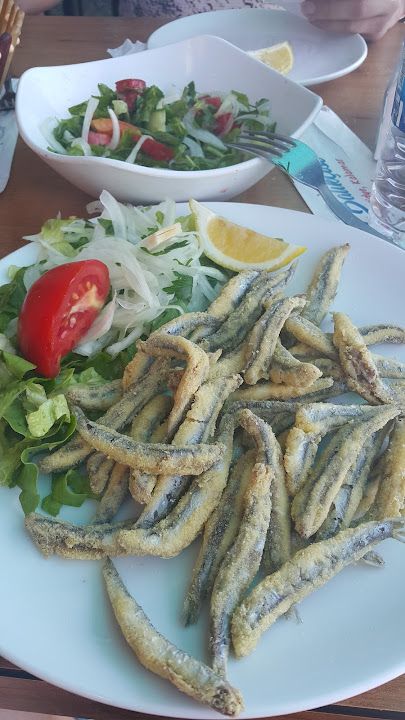 Fotoğraf 42