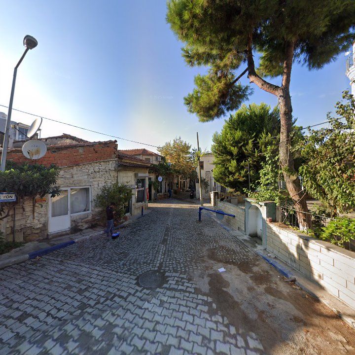 Fotoğraf 9