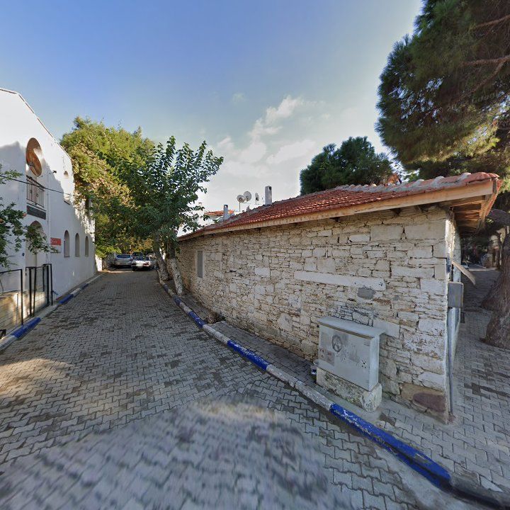 Fotoğraf 7