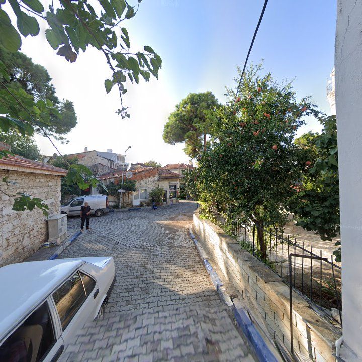 Fotoğraf 9