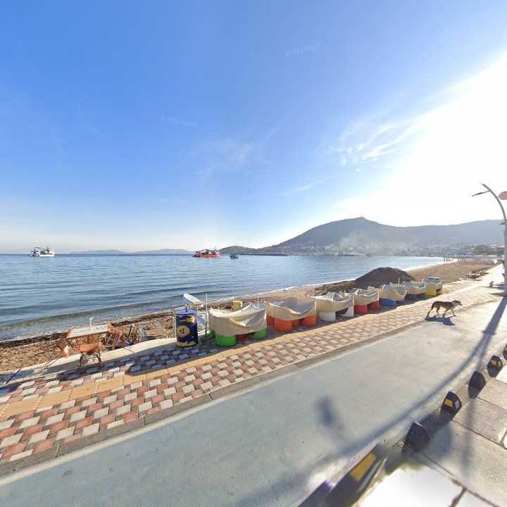 Fotoğraf 10