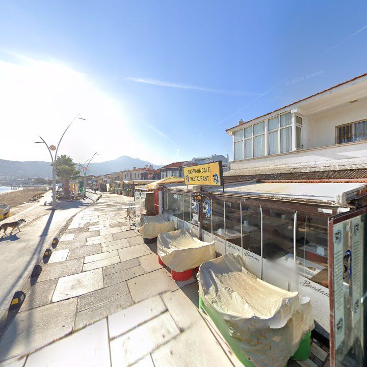 Fotoğraf 11